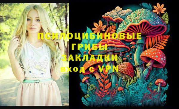 МДПВ Алексеевка