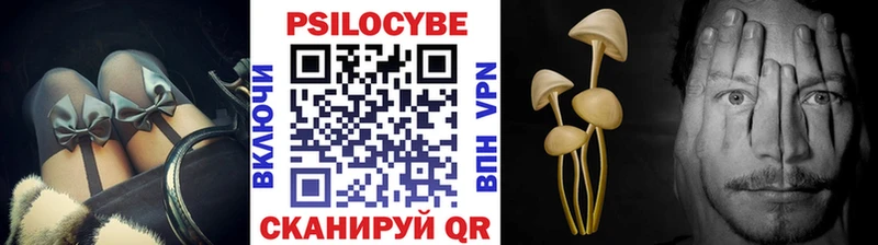 kraken маркетплейс  наркотики  Любим  Псилоцибиновые грибы мицелий 